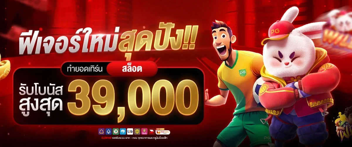 ระบบยืนยันตัวตนและความปลอดภัยของ WYNN1688A